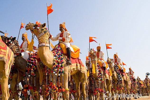 Camel Festival-Bikaner