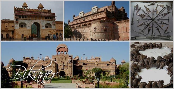 Bikaner Darshan – A City surrounded by Desert